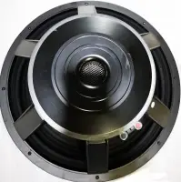 Professional Audio Speaker