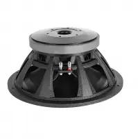 Professional Audio Speaker