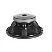 Professional Audio Speaker