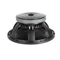 Professional Audio Speaker