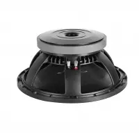 Professional Audio Speaker
