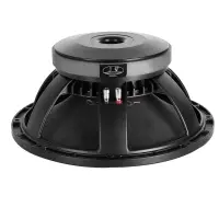 Professional Audio Speaker