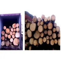 Spruce logs