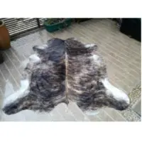 Cow Hide Rugs