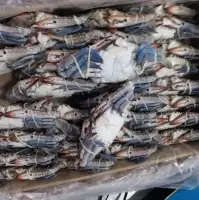 Frozen Blue Swimming Crab