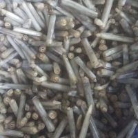 Frozen Razor Clam