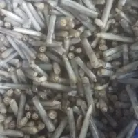 Frozen Razor Clam