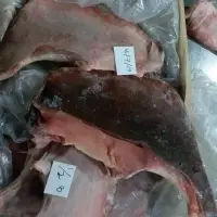Frozen Stingray Wings