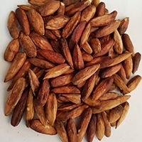 Seal Almond or Plain Wild Almond