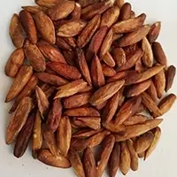 Seal Almond or Plain Wild Almond