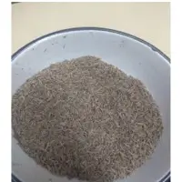 Cumin Seeds