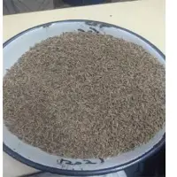 1202 Cumin Seeds