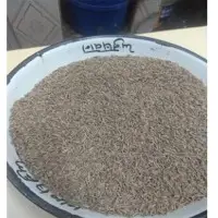 Cumin Seeds Or Jeera