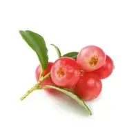 Cranberry