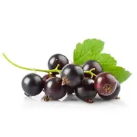 Blackcurrant