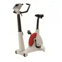 Vertical -type Bicycle