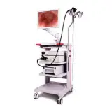 Video Endoscope