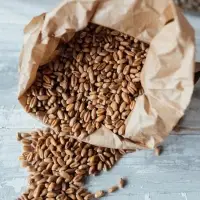 Non GMO Soybean