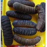 Dried Sea Cucumbers