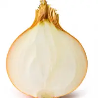 Golden Onion