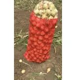 Onion 50 Kg. Bag