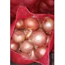 Onion 20 Kg. Bags