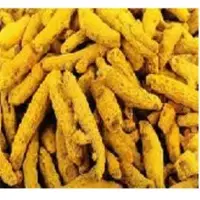 Turmeric Raw And Finger
