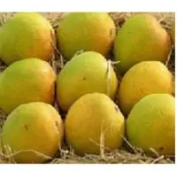 Fresh Mango