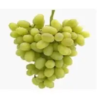 Fresh Grapes