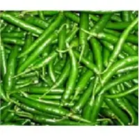 Fresh Green Chilli