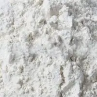 Dehydrated White Onion Powder