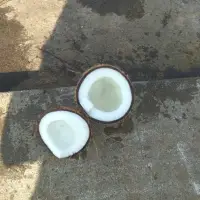 Semi Husk Coconut