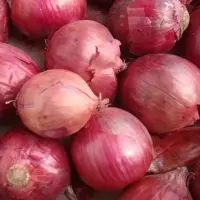 Big Red Onion