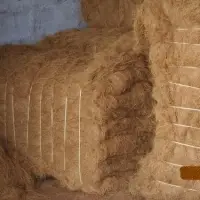 Coir Fiber