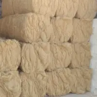 Coir Fiber