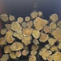 Teak Wood