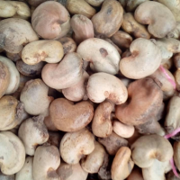 Raw Cashew Nuts