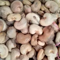 Raw Cashew Nuts