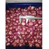 Cutting Red Shallot