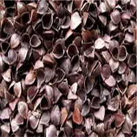 Buckwheat Hulls