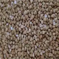Buckwheat Groats