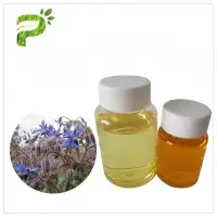 Borage Seed Oil