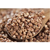 Buckwheat