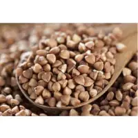 Buckwheat
