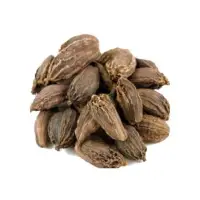 Large Cardamom