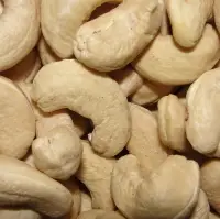 Cashew Nut W240