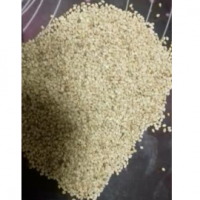 Sesame Seeds