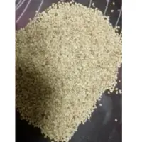 Sesame Seeds