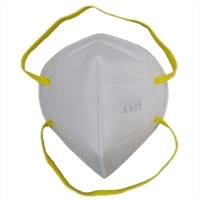 PM2.5 KN95 Dust Mask (Head Belt Type)
