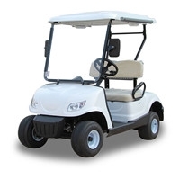 Mini electric golf cart LQG022